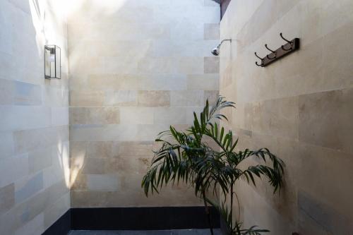 a bathroom with a plant next to a wall at Manta Dive Gili Trawangan Resort in Gili Trawangan