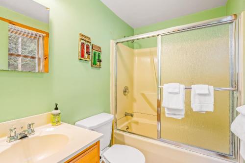 W łazience znajduje się prysznic, toaleta i umywalka. w obiekcie Brook Sound Cabin w mieście Schroon Lake
