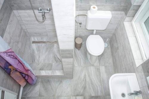 ein Badezimmer mit einem weißen WC und einem Waschbecken in der Unterkunft BB Apartman Hajdúnánás in Hajdúnánás