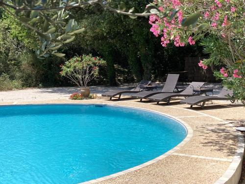 a swimming pool with lounge chairs and pink flowers at L'Enclos in Sérignan-du-Comtat