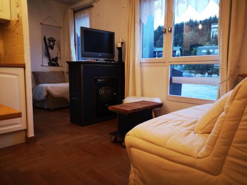 uma sala de estar com uma televisão, um sofá e uma lareira em Apt confortable au pied des pistes et de la forêt em Bolquère - Pyrénées 2000