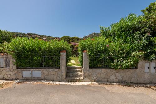 a stone fence with plants on top of it at La Casa di Silvia in Costa Rei