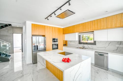 Kuchyň nebo kuchyňský kout v ubytování Villa Arsinoe by Ezoria Villas