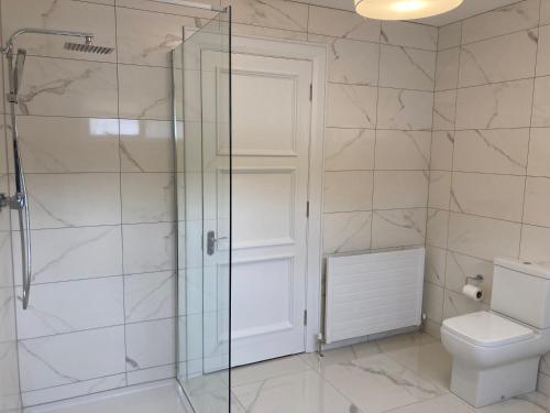 a bathroom with a shower and a toilet at Highgrange Apartments in Dundalk