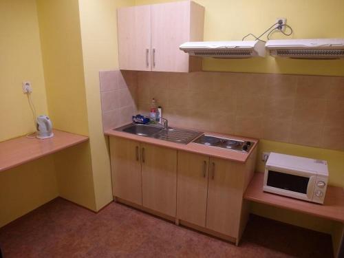 a small kitchen with a sink and a microwave at Hotel Harfa in Prague