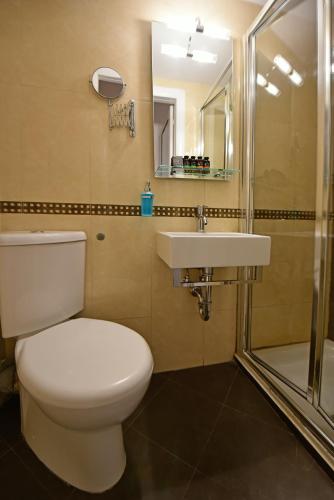 a bathroom with a toilet and a sink and a shower at Hotel Sophia in Hydra