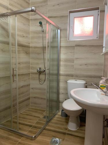 a bathroom with a shower and a toilet and a sink at Stojanoski Studios & Rooms in Trpejca