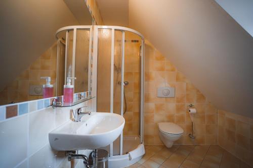 a bathroom with a sink and a toilet at Apartmány Jurica Boží Dar 84 in Boží Dar