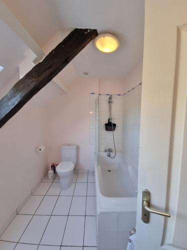 ein Badezimmer mit einem WC und einer Badewanne in der Unterkunft Chambre Matisse - Closeries du Golfe in Theix