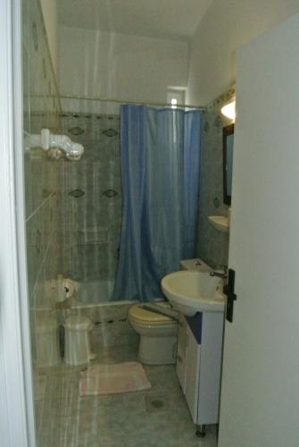 a bathroom with a shower and a toilet and a sink at central square HOUSE kokalaki in Kefalos