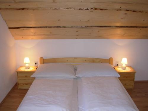 1 dormitorio con 1 cama con 2 luces en ambos lados en Apartmány MarAqua, en Liptovský Trnovec