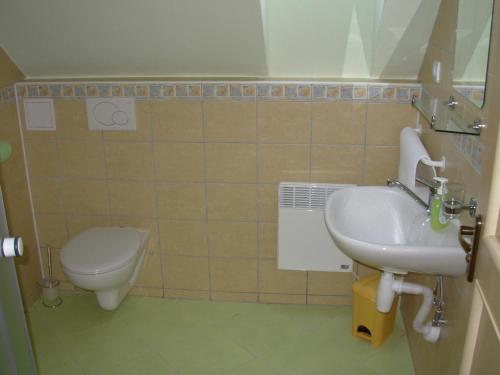 y baño con aseo y lavamanos. en Apartmány MarAqua, en Liptovský Trnovec