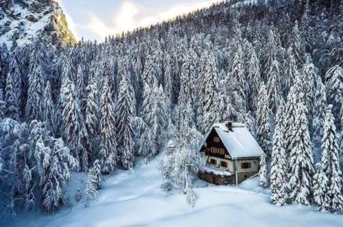 een hut midden in een met sneeuw bedekt bos bij Tonkina koča in Kranjska Gora