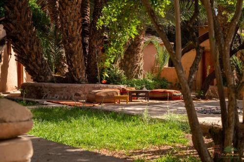 Ecolodge La Palmeraieにある庭