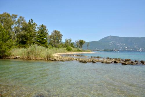 Φυσικό τοπίο κοντά σε αυτό το διαμέρισμα
