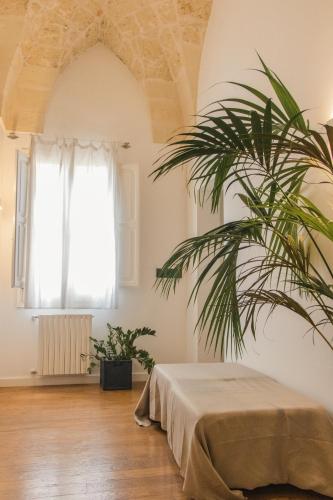 a room with a bed and a palm tree at Sui Tetti Luxury Rooms in Lecce