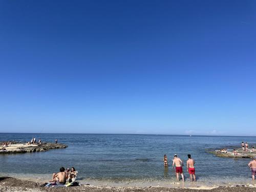 アパートメントの近くで見られる自然の景観