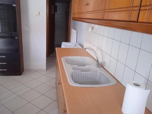 um balcão de cozinha com um lavatório na cozinha em Sotiris house em Preveza