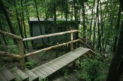 a wooden stairs leading to a cabin in the woods at Baumhaus Silent 
