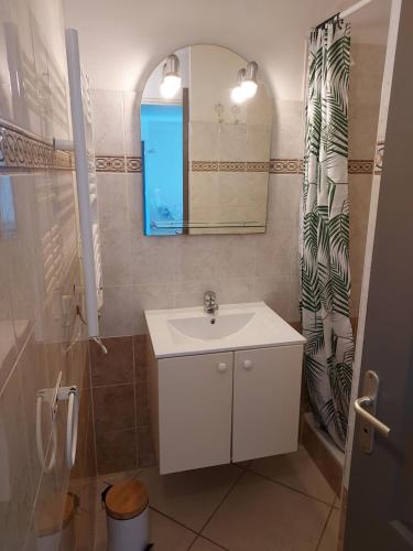 Phòng tắm tại Charmante maison Leucate avec garage, à proximité de la plage