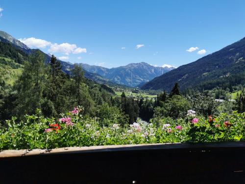 Ferienwohnung Mühlburger