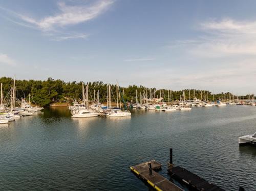 a bunch of boats are docked in a harbor at Mzingazi Waterfront Accommodation, On The Bay Waterfront Villa's in Richards Bay