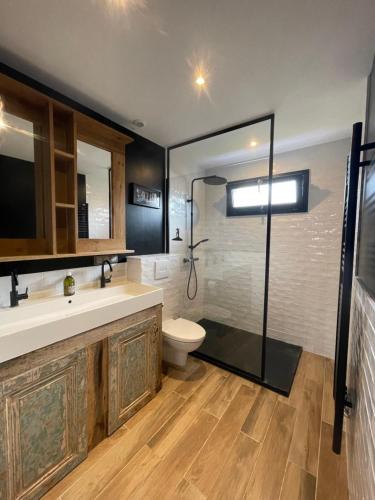 a bathroom with a toilet and a sink and a shower at L'appartement de la Baie d'Authie in Fort-Mahon-Plage