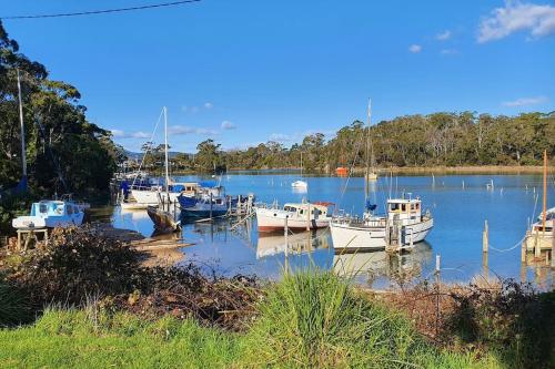 a group of boats are docked in a harbor at CHILL in Port Sorell