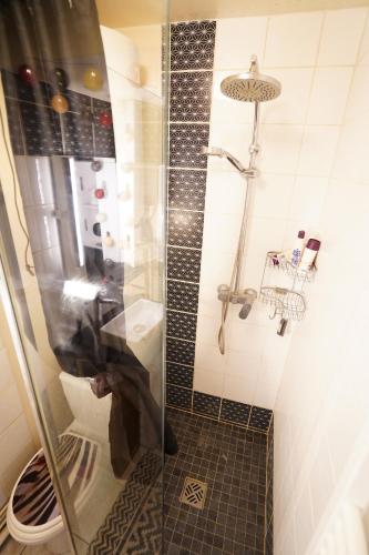 une salle de bain avec une douche avec des toilettes et un lavabo dans l'établissement Charmant studio au calme et bien desservi, à Paris