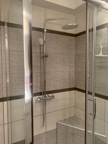 a shower with a glass door in a bathroom at Pearl House Skg in Neoi Epivates