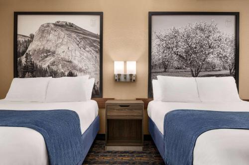 a hotel room with two beds and a picture at Super 8 by Wyndham Lindsay Olive Tree in Lindsay