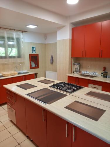 a kitchen with red cabinets and a stove top oven at Pensiunea Mario in Moieciu de Sus