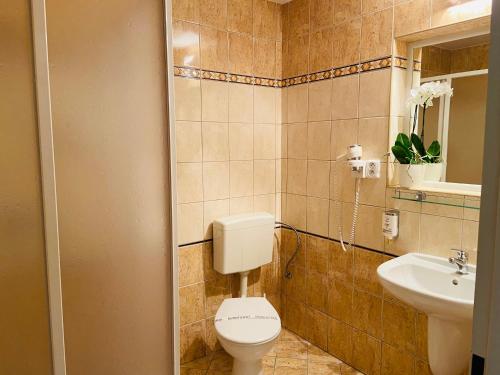 a bathroom with a toilet and a sink at Garni Hotel Pyramida in Františkovy Lázně