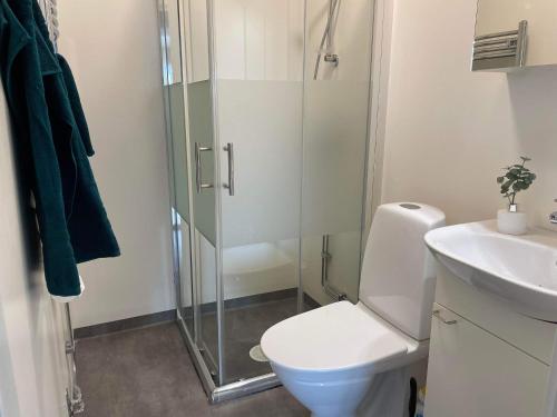 een badkamer met een douche, een toilet en een wastafel bij Fin lägenhet i centrala Oviken, mellan fjäll&stad in Oviken