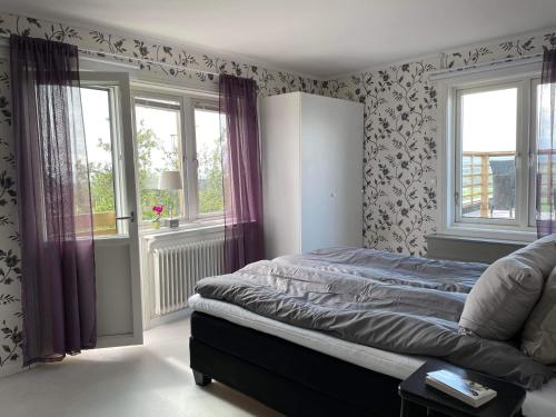 a bedroom with a bed and two windows at Fin lägenhet i centrala Oviken, mellan fjäll&stad in Oviken