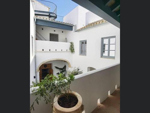 CASA DEL MUSEO / Apto. en Casa-Patio S.XVIII, Medina Sidonia ...