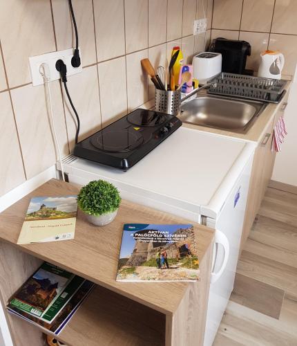 a kitchen with a counter with a sink and a stove at Galagonya Vendégház-Hegyvidéki szálláshely in Salgótarján