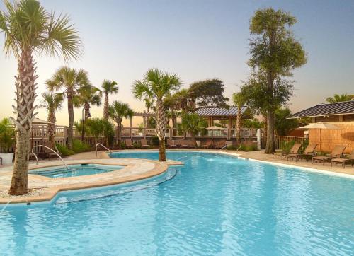 a large swimming pool with palm trees in a resort at Omni Hilton Head Oceanfront Resort in Hilton Head Island