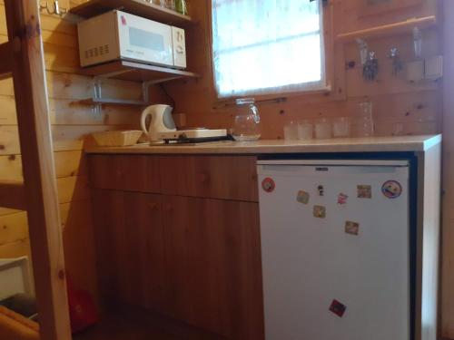 a kitchen with a white refrigerator and a microwave at Chatka Rozárka - Výrovická přehrada in Horní Dunajovice