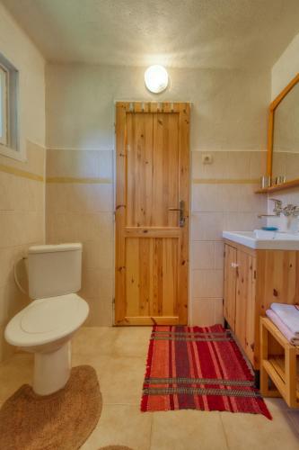 a bathroom with a toilet and a wooden door at Chalupa u Janov in Mýto pod Ďumbierom