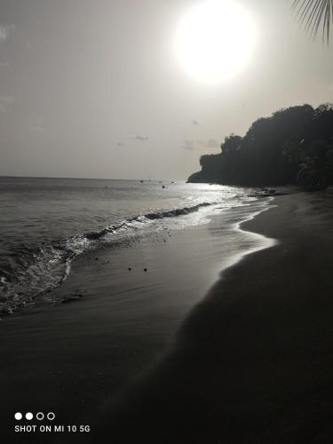 una foto en blanco y negro de una playa en STUDIO PIEDS DANS L EAU A SCHOELCHER, en Schœlcher