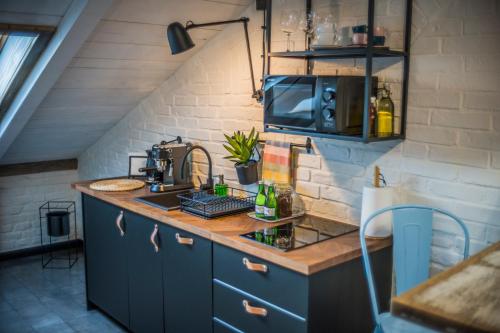 a kitchen with blue cabinets and a counter with a microwave at Apartamenty Rymanów in Rymanów