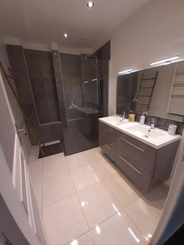 une salle de bain avec une douche, un lavabo et une baignoire dans l'établissement Les 20 collines 4 à 6 pers, à Dieppe