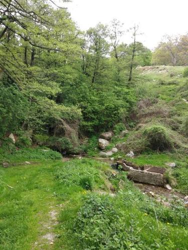 Gallery image of Dorotheas Stone house in the forest in Aspróyia