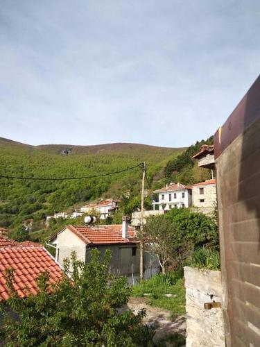 Gallery image of Dorotheas Stone house in the forest in Aspróyia