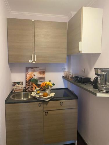 Η κουζίνα ή μικρή κουζίνα στο Victoriei Deluxe Suites
