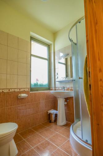 a bathroom with a sink and a toilet and a shower at Ágnes Vendégház in Tokaj
