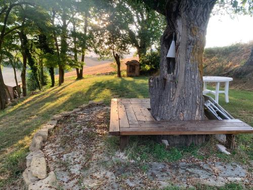 a wooden bench sitting next to a tree at Casale Grifondoro in Pergola