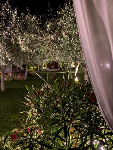a bush in a yard with trees at night at Casa 32 in Nago-Torbole