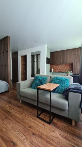 特爾希艾的住宿－Mona Apartamentai，客厅配有沙发和桌子